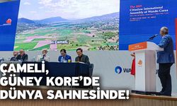 Çameli, Güney Kore’de Dünya Sahnesinde!