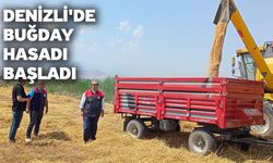 Denizli'de buğday hasadı başladı