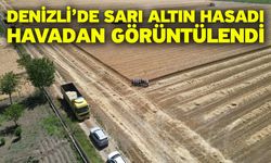 Denizli’de sarı altın hasadı havadan görüntülendi