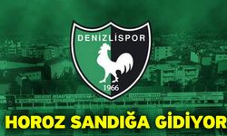 Horoz Sandığa Gidiyor