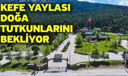 Kefe Yaylası doğa tutkunlarını bekliyor