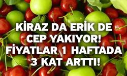 Kiraz da Erik de Cep Yakıyor! Fiyatlar 1 Haftada 3 Kat Arttı!