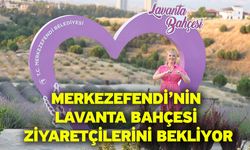 Merkezefendi’nin Lavanta Bahçesi Ziyaretçilerini Bekliyor
