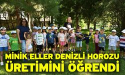 Minik Eller Denizli Horozu Üretimini Öğrendi