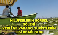 Nilüferlerin görsel şöleni yerli ve yabancı turistlerin ilgi odağı oldu
