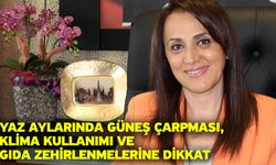 Yaz aylarında güneş çarpması, klima kullanımı ve gıda zehirlenmelerine dikkat