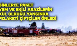 Binlerce paket yem ve ekili arazilerin kül olduğu yangında felaketi çiftçiler önledi
