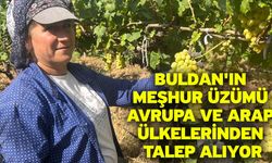 Buldan'ın meşhur üzümü Avrupa ve Arap ülkelerinden talep alıyor