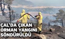 Çal’da çıkan orman yangını söndürüldü