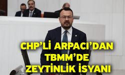 CHP’li Arpacı’dan TBMM’de Zeytinlik İsyanı