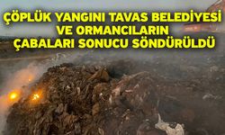 Çöplük yangını Tavas Belediyesi ve ormancıların çabaları sonucu söndürüldü