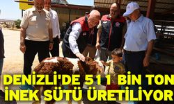 Denizli'de 511 bin ton inek sütü üretiliyor