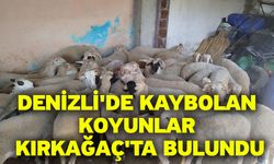 Denizli'de kaybolan koyunlar Kırkağaç'ta bulundu