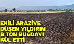 Ekili araziye düşen yıldırım 8 ton buğdayı kül etti