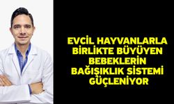 Evcil hayvanlarla birlikte büyüyen bebeklerin bağışıklık sistemi güçleniyor