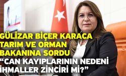 Gülizar Biçer Karaca Tarım Ve Orman Bakanına sordu: “Can kayıplarının nedeni ihmaller zinciri mi?”