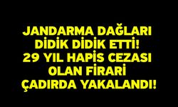 Jandarma dağları didik didik etti: 29 yıl hapis cezası olan firari çadırda yakalandı!