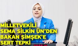 Milletvekili Sema Silkin Ün’den Bakan Şimşek’e sert tepki