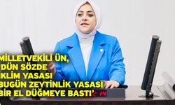 Milletvekili Ün, ‘Dün sözde iklim yasası bugün zeytinlik yasası, Bir el düğmeye bastı’