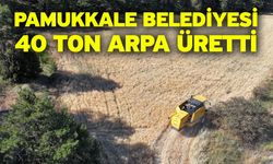 Pamukkale Belediyesi 40 Ton Arpa Üretti