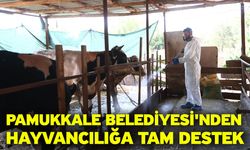 Pamukkale Belediyesi'nden Hayvancılığa Tam Destek