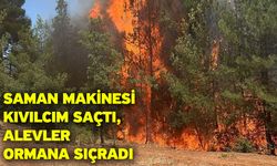 Saman Makinesi Kıvılcım Saçtı, Alevler Ormana Sıçradı