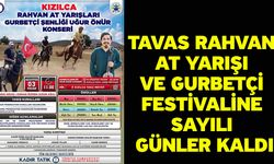 Tavas Rahvan At Yarışı ve Gurbetçi Festivaline sayılı günler kaldı