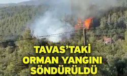 Tavas’taki orman yangını söndürüldü