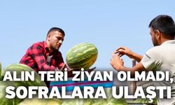 Alın teri ziyan olmadı, sofralara ulaştı