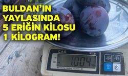 Buldan’ın Yaylasında 5 Eriğin Kilosu 1 Kilogram!