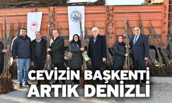 8 Yıl Önce Başlayan Projeyle Ceviz Üretiminde Zirve Denizli’nin
