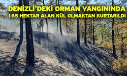 Denizli’deki orman yangınında 165 hektar alan kül olmaktan kurtarıldı