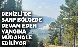 Denizli’de sarp bölgede devam eden yangına müdahale ediliyor