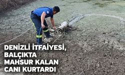 Büyükşehir İtfaiye’den gönülleri ısıtan kurtarma