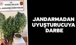 Jandarmadan Uyuşturucuya Darbe