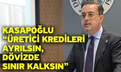 Kasapoğlu “Üretici Kredileri Ayrılsın, Dövizde Sınır Kalksın”