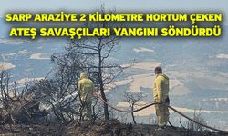 Sarp araziye 2 kilometre hortum çeken ateş savaşçıları yangını söndürdü