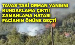 Tavas’taki Orman Yangını Kundaklama Çıktı! Zamanlama Hatası Facianın Önüne Geçti