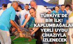 Türkiye’de Bir İlk! Kaplumbağalar Yerli Uydu Cihazıyla İzlenecek