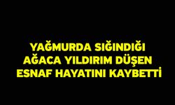 Yağmurda sığındığı ağaca yıldırım düşen esnaf hayatını kaybetti