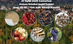 Beyağaç Yöresel Ürünler Festivali için geri sayım başladı