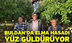 Buldan'da Elma Hasadı Yüz Güldürüyor