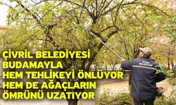 Çivril Belediyesi budamayla hem tehlikeyi önlüyor hem de ağaçların ömrünü uzatıyor