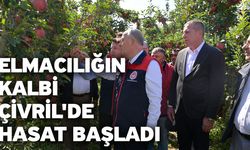 Elmacılığın kalbi Çivril'de hasat başladı