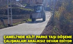 Çameli'nde kilit parke taşı döşeme çalışmaları aralıksız devam ediyor