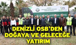 Milli Ağaçlandırma Günü’nde Fidanlar Toprakla Buluştu