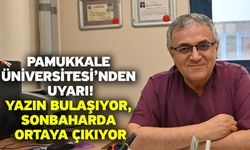 Pamukkale Üniversitesi’nden uyarı! Yazın bulaşıyor, sonbaharda ortaya çıkıyor