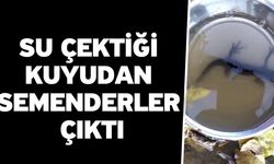 Su çektiği kuyudan semenderler çıktı