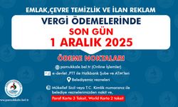 Pamukkale Belediyesi'nden vergi duyurusu: Son gün 1 Aralık!