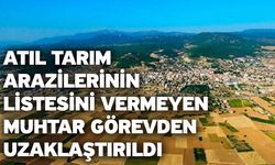 Atıl tarım arazilerinin listesini vermeyen muhtar görevden uzaklaştırıldı